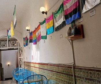 Calavera Coyote Calavera Coyote